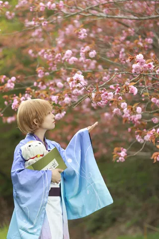 優雅な装いで桜を愛でる