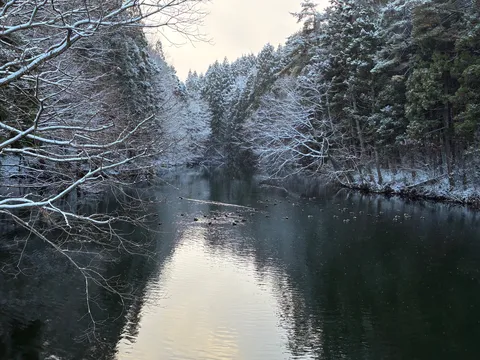 雪化粧した川辺の静謐