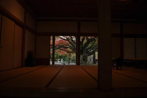 紅葉と古民家の静寂