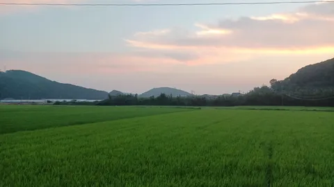 夕暮れ空と緑の絨毯