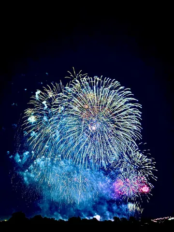 夜空を彩る花火の嵐