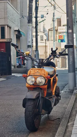 街角を守るオレンジの一台