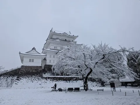 冬景色に佇む白鷺城