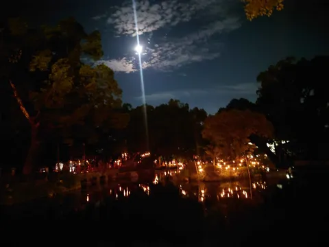 夜の灯りと水面の囁き