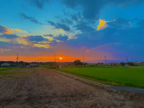 茜色の空と緑の田園