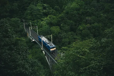 緑の秘境を走る青い列車