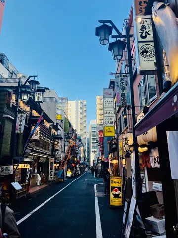 提灯が彩る路地の夕景