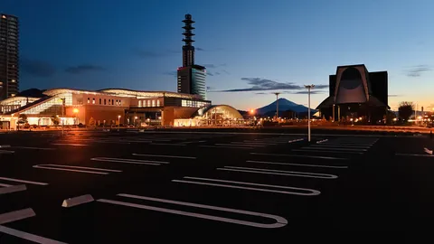 灯りが彩る街と富士の夕景