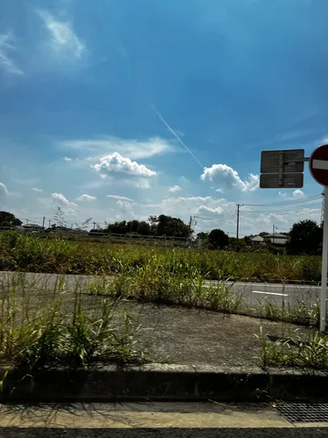 青い空と草むらの道