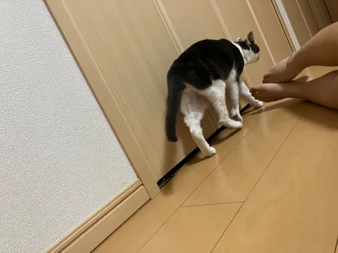 ひそやかな足音、隣り合う時