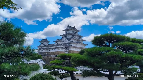 白壁に映る風の城