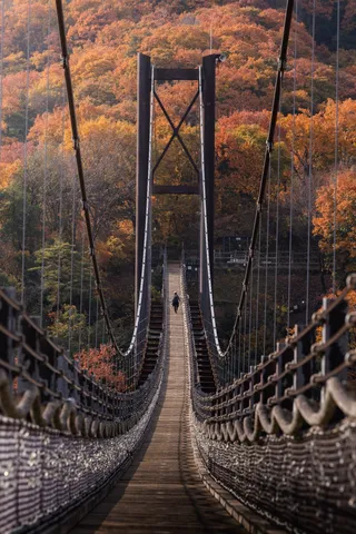渡る秋の吊り橋