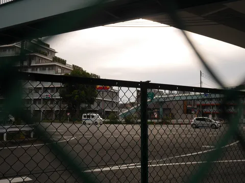 フェンス越しの日常風景