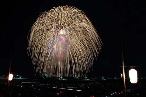 夏の夜空を彩る大輪の花