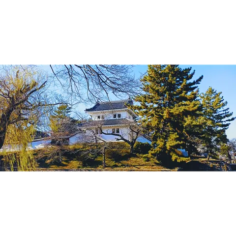 静寂に佇む白壁の城