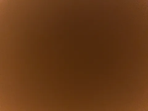 深まる茶色の世界