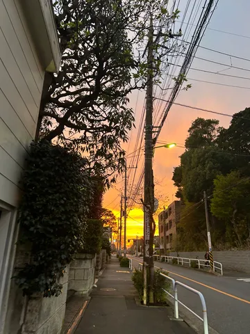 夕焼けに染まる電線街