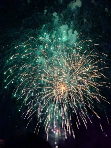 緑に輝く夜空の華