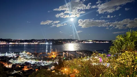 月明かりと街の灯が織りなす夜景