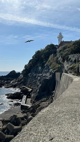 荒磯に灯台、悠然と飛ぶ鳥