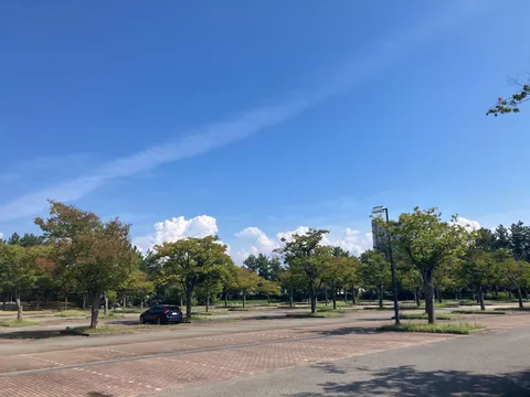 青空に誘われて、緑と砂利道