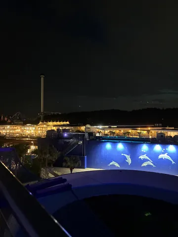 真夜中のイルカショー、幻想的なブルーライト