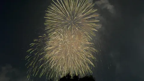 夜空に咲く光の花火