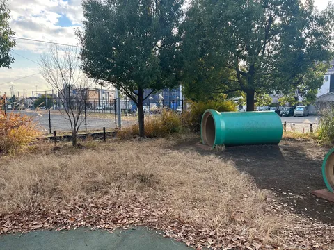 公園の緑のトンネル