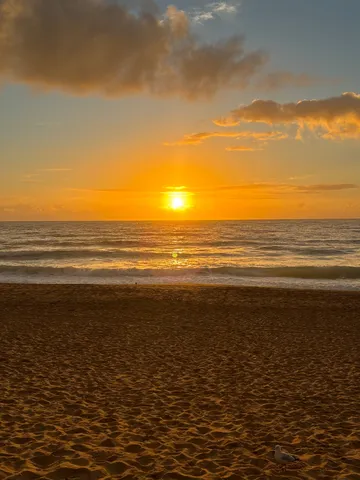 水平線に沈む夕日、砂浜とカモメ