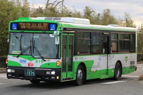 緑と白のコントラスト、ノンステップバス