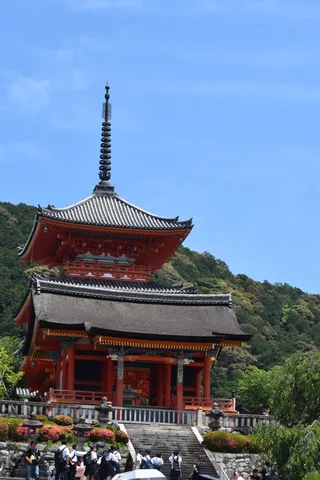 新緑に映える鮮やかな朱色の五重塔