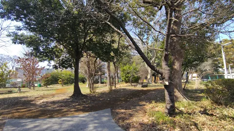 木漏れ日と公園の小道