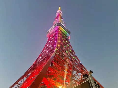 見上げる光のグラデーション
