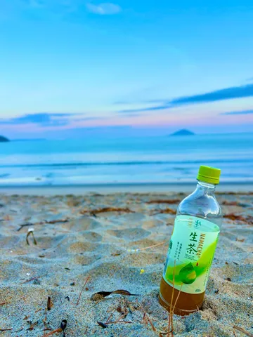 夕暮れの浜辺、緑茶の誘い