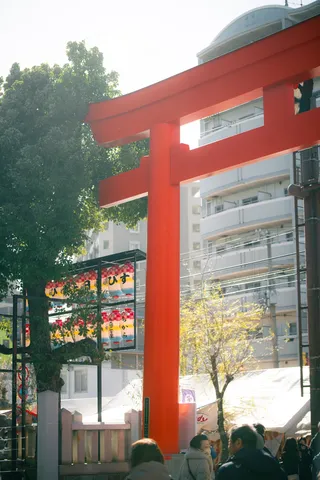 陽光降り注ぐ朱色の鳥居