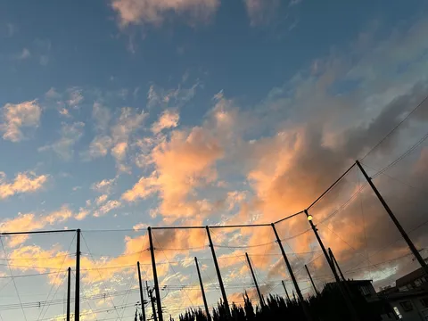 夕焼けの網と風の線