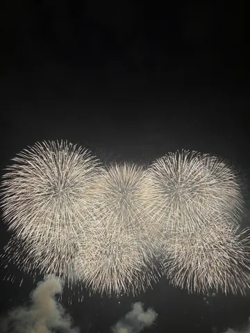 夜空に咲き誇る光の花