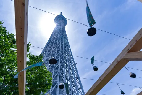 光を纏う、空の骨格