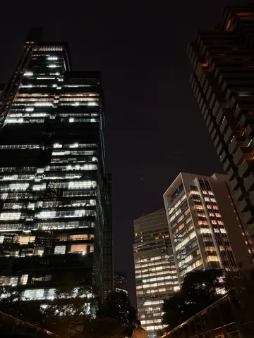 夜景に佇む都会の巨人たち