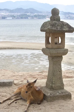 異世界からの訪問者？