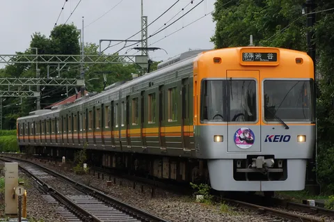 雨空の下、ローカル線が走る