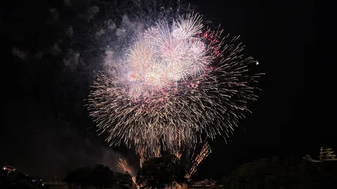 夜空に咲き誇る光の華