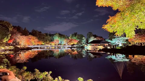 幻想的な夜の庭園、光と影の共演