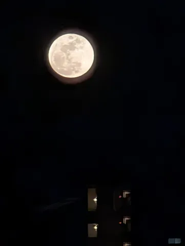 夜空に浮かぶ大きな月