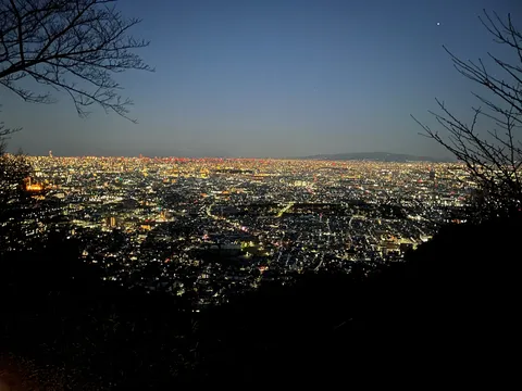 夜景に広がる光の絨毯