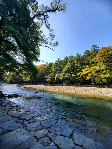 清流と木漏れ日のコントラスト