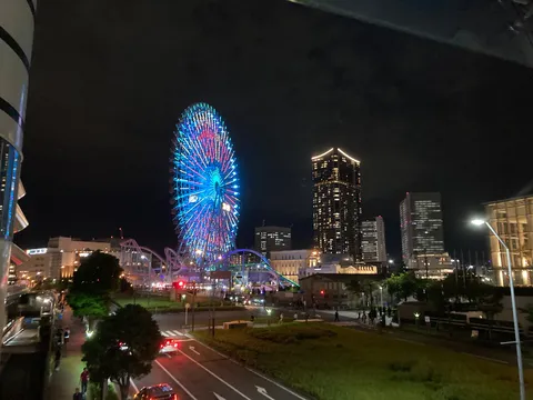 夜空に咲く光の華