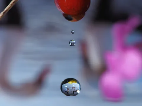 滴る水玉と風景の反射