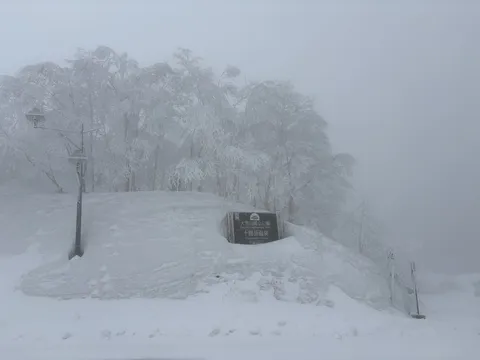 標識も寒さに震える冬景色