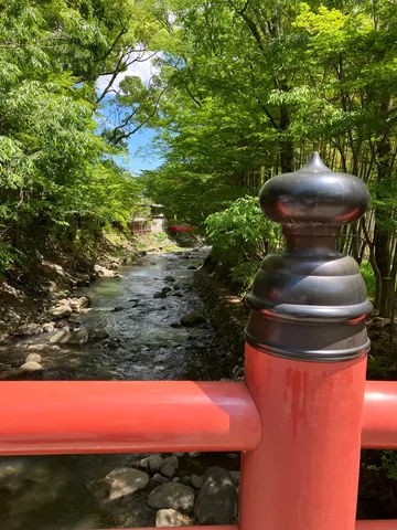 清流と新緑のコントラスト